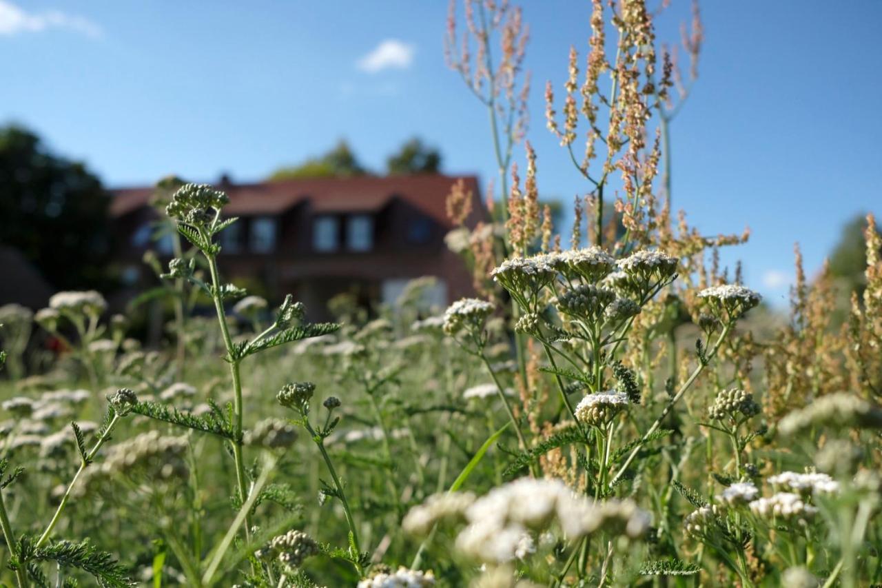 Ferienwohnung Mohnblume Pulzig 외부 사진